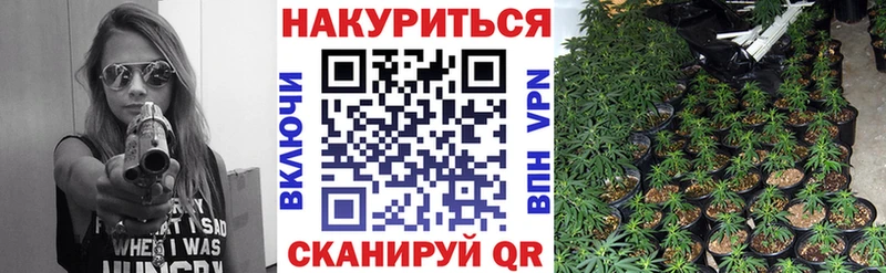 Каннабис ГИДРОПОН  даркнет сайт  Ростов-на-Дону 